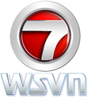 WSVN